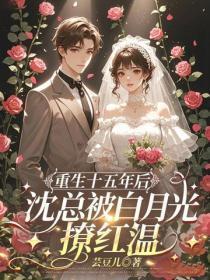 重生十五年后，沈总被白月光撩红温