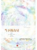 当下的力量（珍藏版）