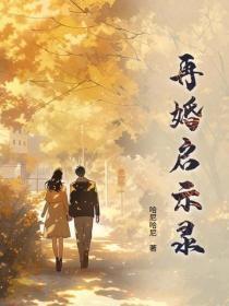 再婚启示录