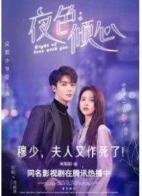 夜色倾心（刘些宁、管栎主演同名影视原着）