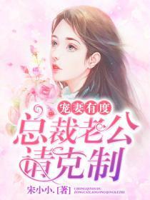 宠妻有度：总裁老公请克制