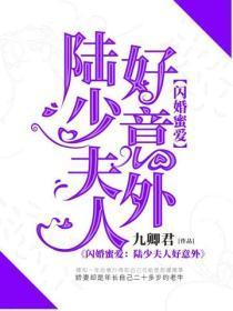 闪婚蜜爱:陆少夫人好意外