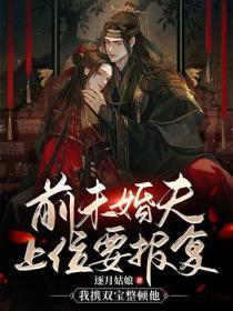 前未婚夫上位要报复，我携双宝整顿他