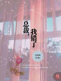 总裁，我错了