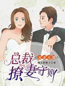 宠妻无度：总裁撩妻守则