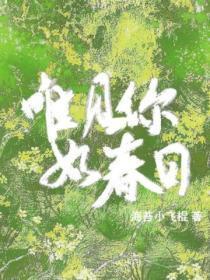 唯见你如春日
