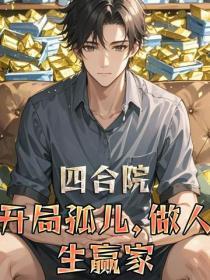 四合院：开局孤儿，做人生赢家