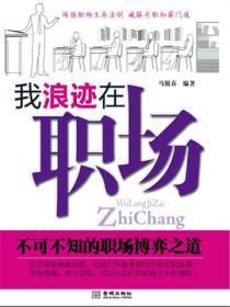 我浪迹在职场