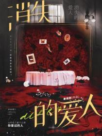 消失的爱人