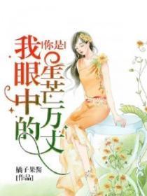 你是我眼中的星芒万丈