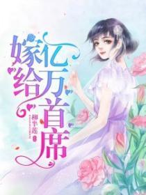 嫁给亿万首席！