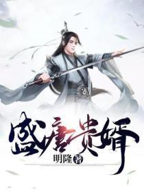盛唐贵婿