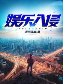 娱乐入侵