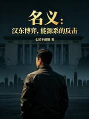 名义：汉东博弈，能源系的反击
