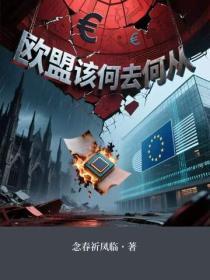 欧盟该何去何从