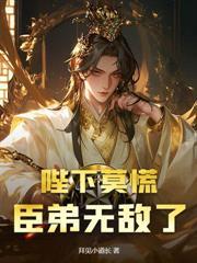 我，反派大皇子，镇压一切！