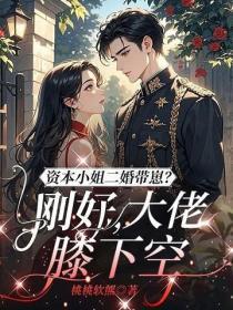 资本小姐二婚带崽？刚好，大佬膝下空