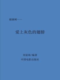 爱上灰色的翅膀