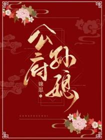 公府孙媳